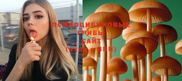 прущий лед Абаза